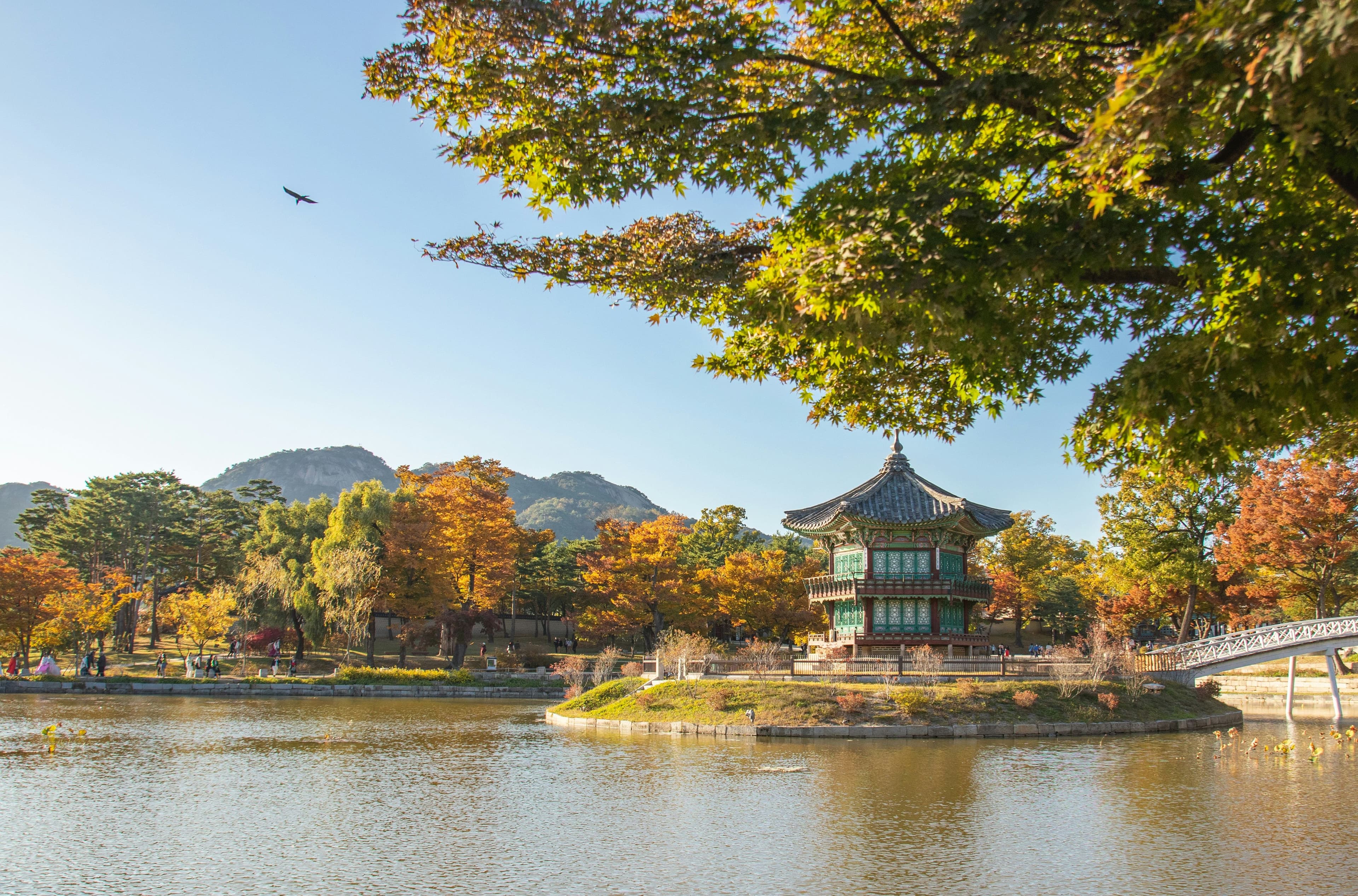 Cung điện Gyeongbokgung mùa thu